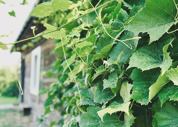 Bliska Wioska- Dom Horská chata *