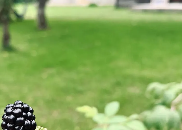 Horská chata Bliska Wioska- Dom