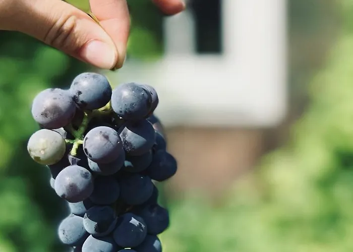 Bliska Wioska- Dom Kuchary Zydowskie