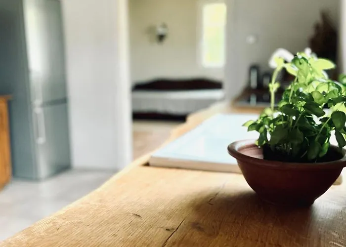 Bliska Wioska- Dom Horská chata